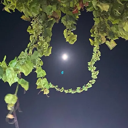 Grosse Helle Am Wald In Nahe Gruenheide Und Berlin Souterrain شقة *