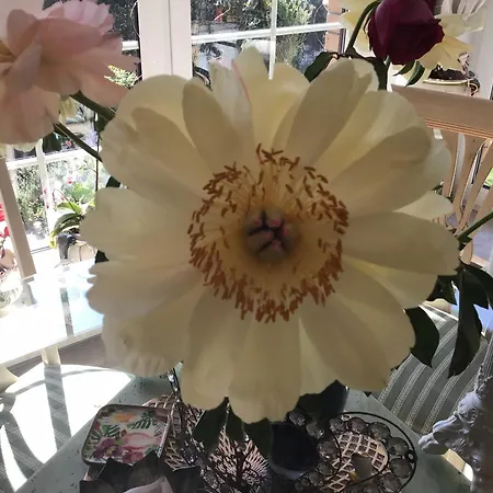 Grosse Helle Am Wald In Nahe Gruenheide Und Berlin Souterrain شقة