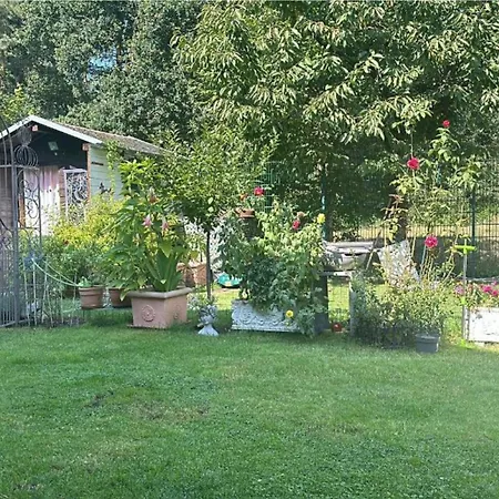 Grosse Helle Am Wald In Nahe Gruenheide Und Berlin Souterrain 아파트 바트 자로