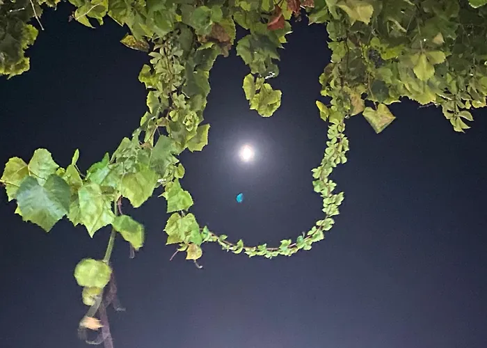 Grosse Helle Am Wald In Nahe Gruenheide Und Berlin Souterrain شقة *