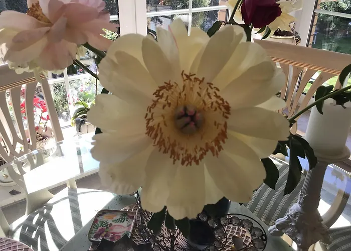 Grosse Helle Am Wald In Nahe Gruenheide Und Berlin Souterrain شقة