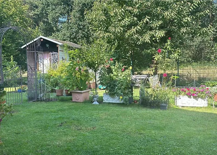 Grosse Helle Am Wald In Nahe Gruenheide Und Berlin Souterrain Daire Bad Saarow